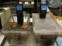 Best Sous Vide Immersion Circulators